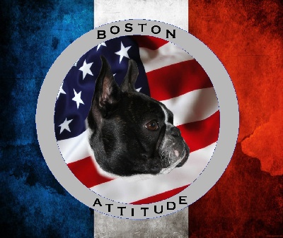 Boston Attitude