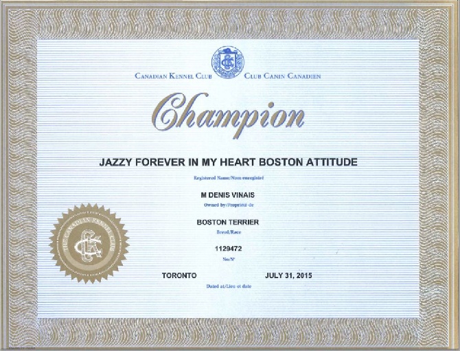 Boston Attitude - Champion du Canada:  Boston Attitude Jazzy Forever in my Heart