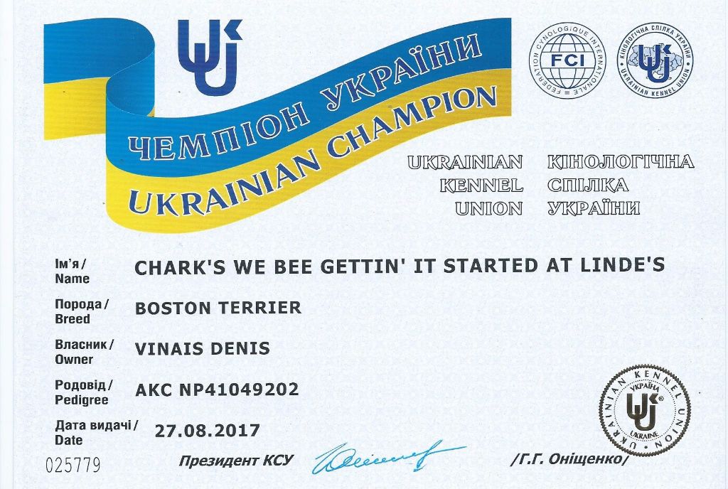 Boston Attitude - Mr Rumble devient Champion d'Ukraine