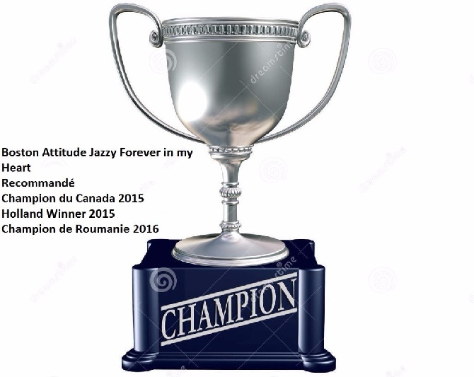 Boston Attitude - Nouveau titre de champion pour Jazzy !