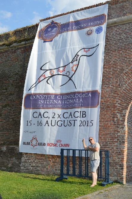 Boston Attitude - Exposition Canine Alba Lulia (Roumanie) 15-16 Aout