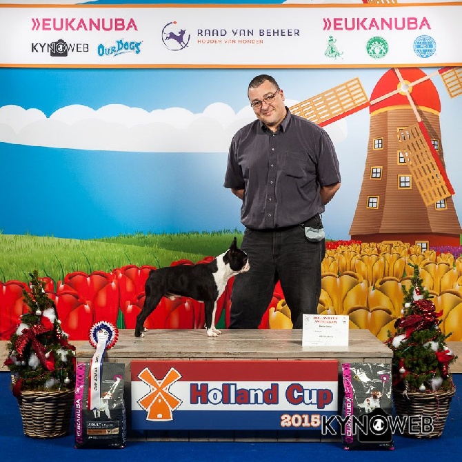 Boston Attitude - A seulement 14 Mois, Jazzy remporte la Holland Winner CUP 2015 !